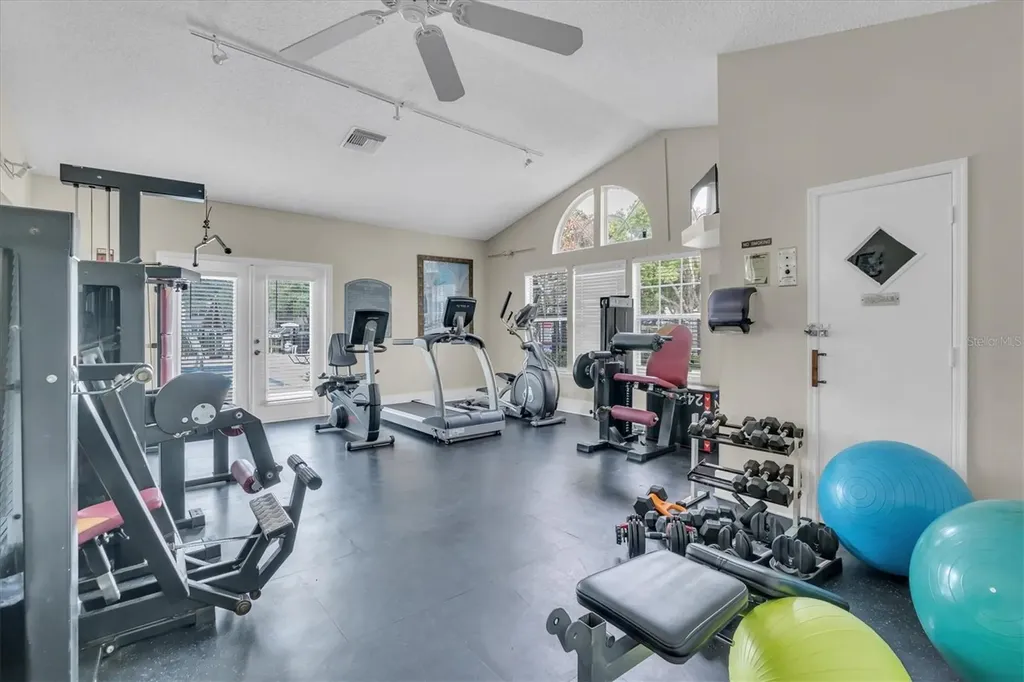 3313 Haviland Court Palm Harbor FL 34684