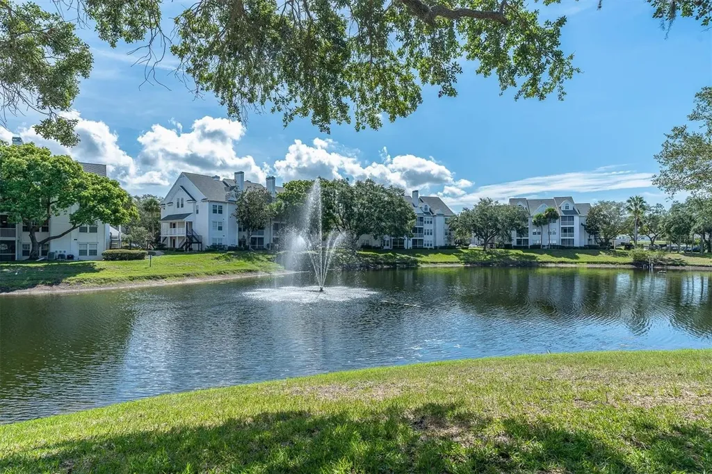 3313 Haviland Court Palm Harbor FL 34684