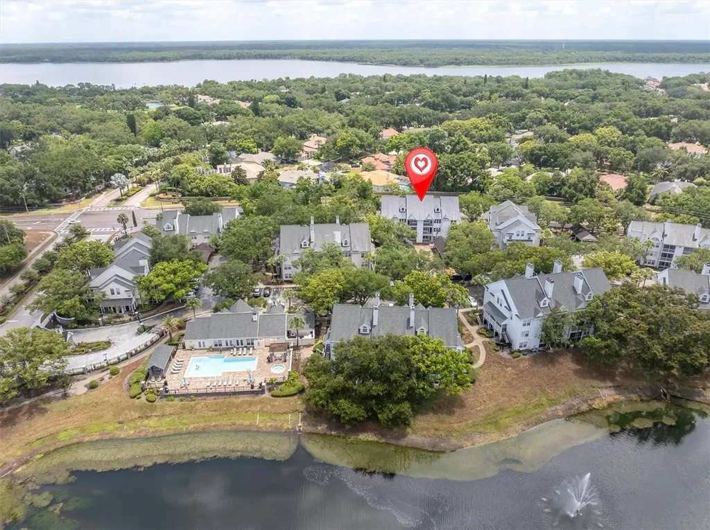 3313 Haviland Court Palm Harbor FL 34684