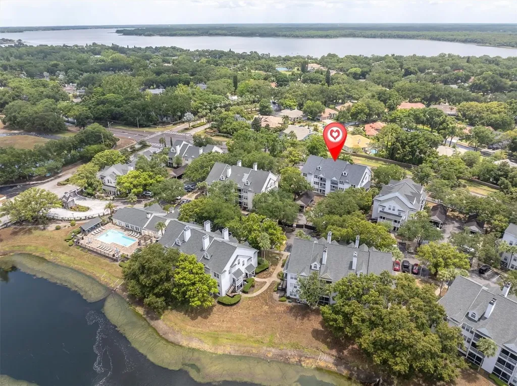 3313 Haviland Court Palm Harbor FL 34684