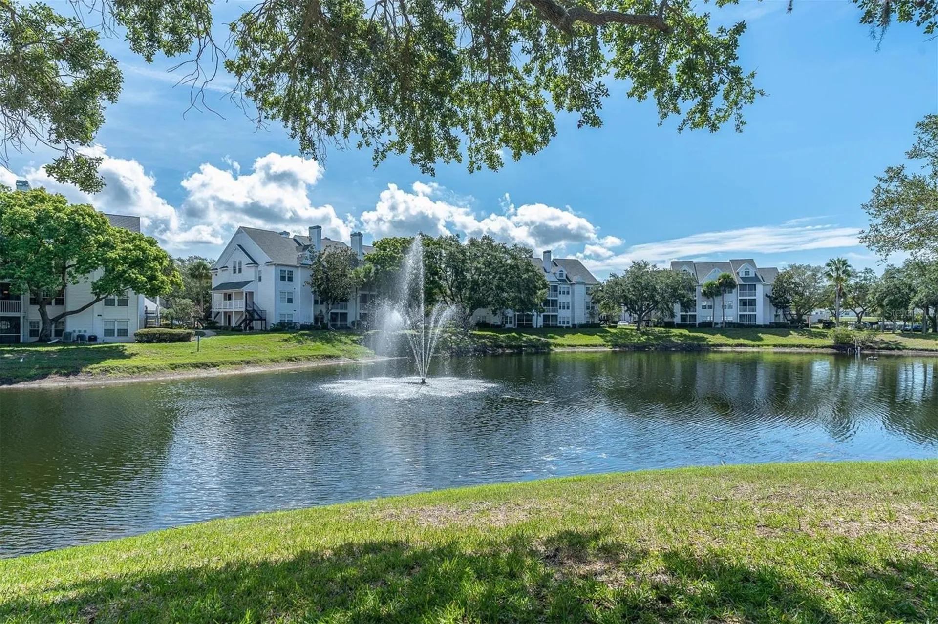 3313 Haviland Court Palm Harbor FL 34684