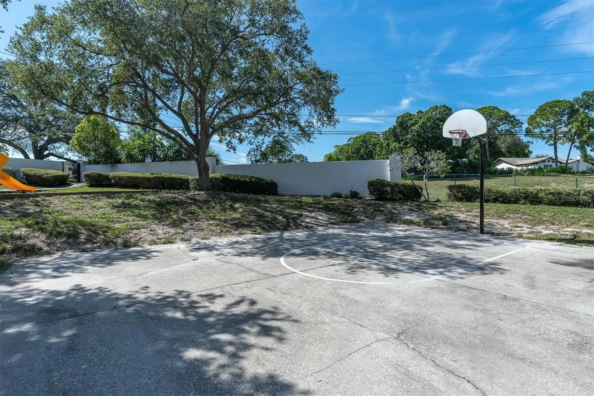 3313 Haviland Court Palm Harbor FL 34684