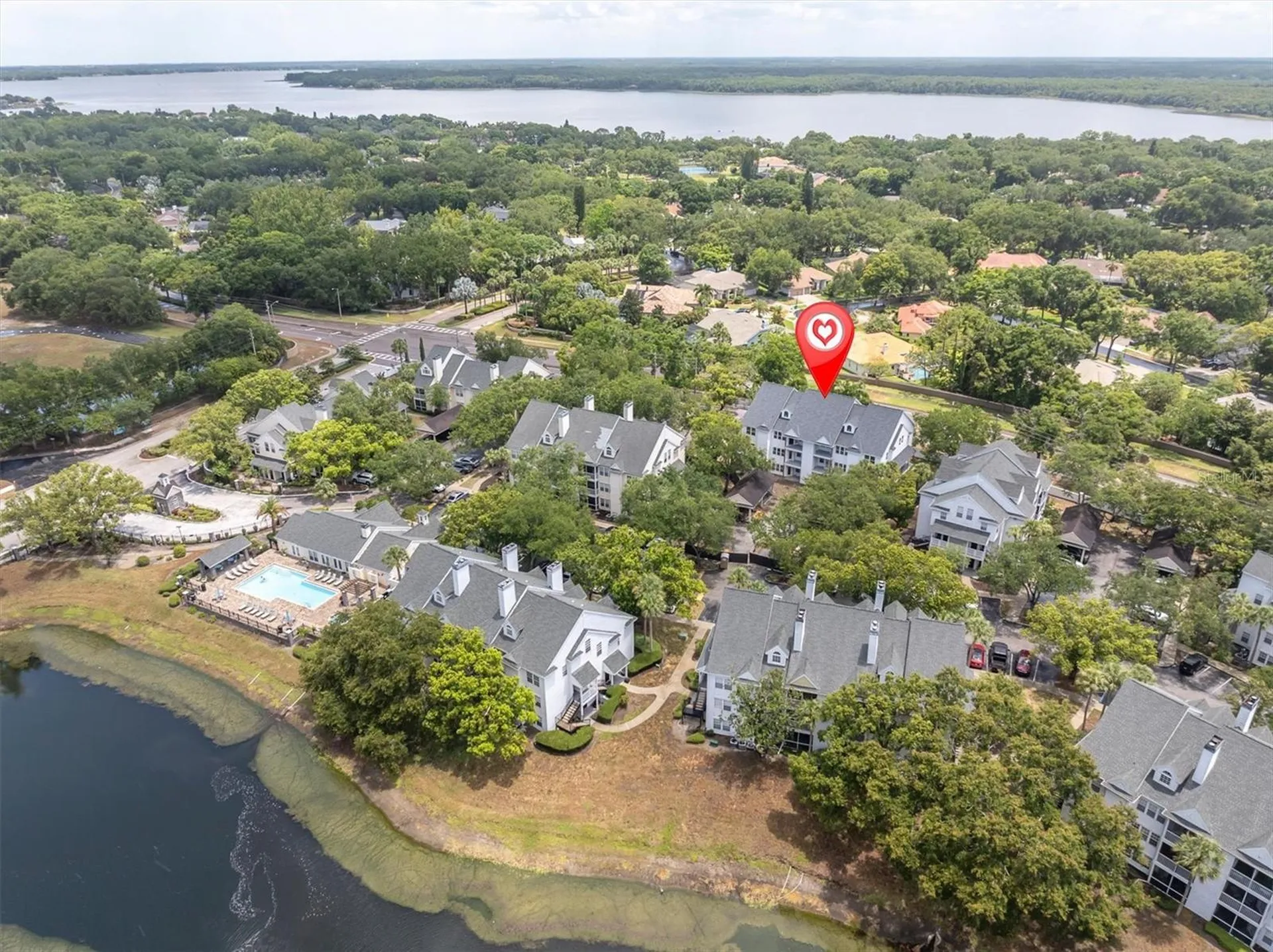 3313 Haviland Court Palm Harbor FL 34684