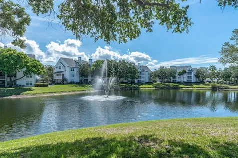 3313 Haviland Court Palm Harbor FL 34684