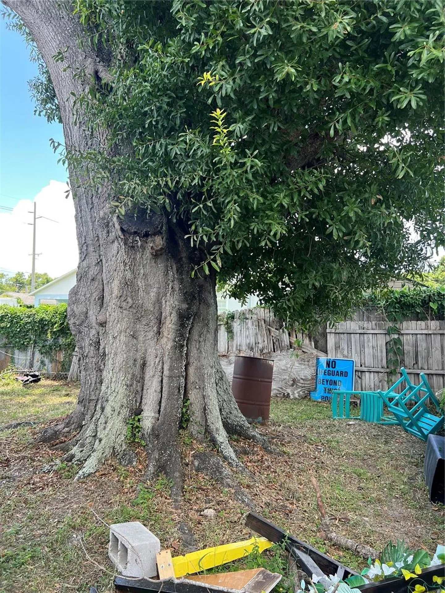 5808 N Lois Avenue Tampa FL 33614