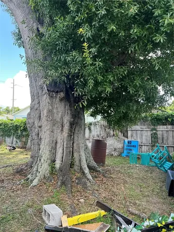 5808 N Lois Avenue Tampa FL 33614