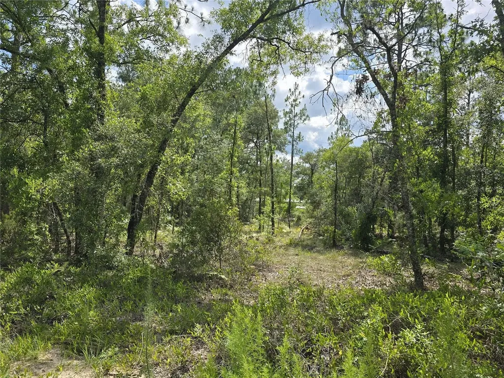 00 NE 121st Avenue Williston FL 32696