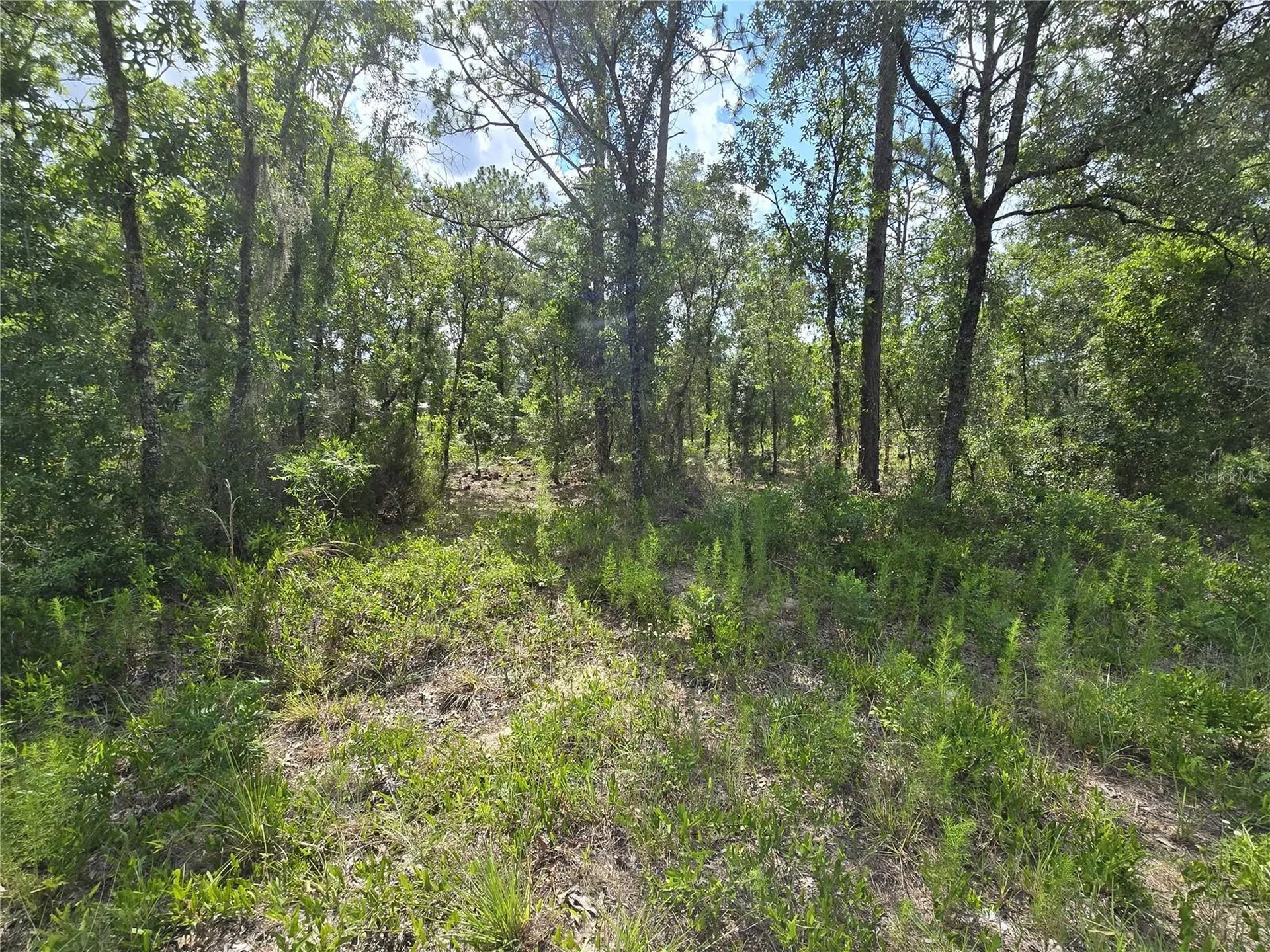 00 NE 121st Avenue Williston FL 32696
