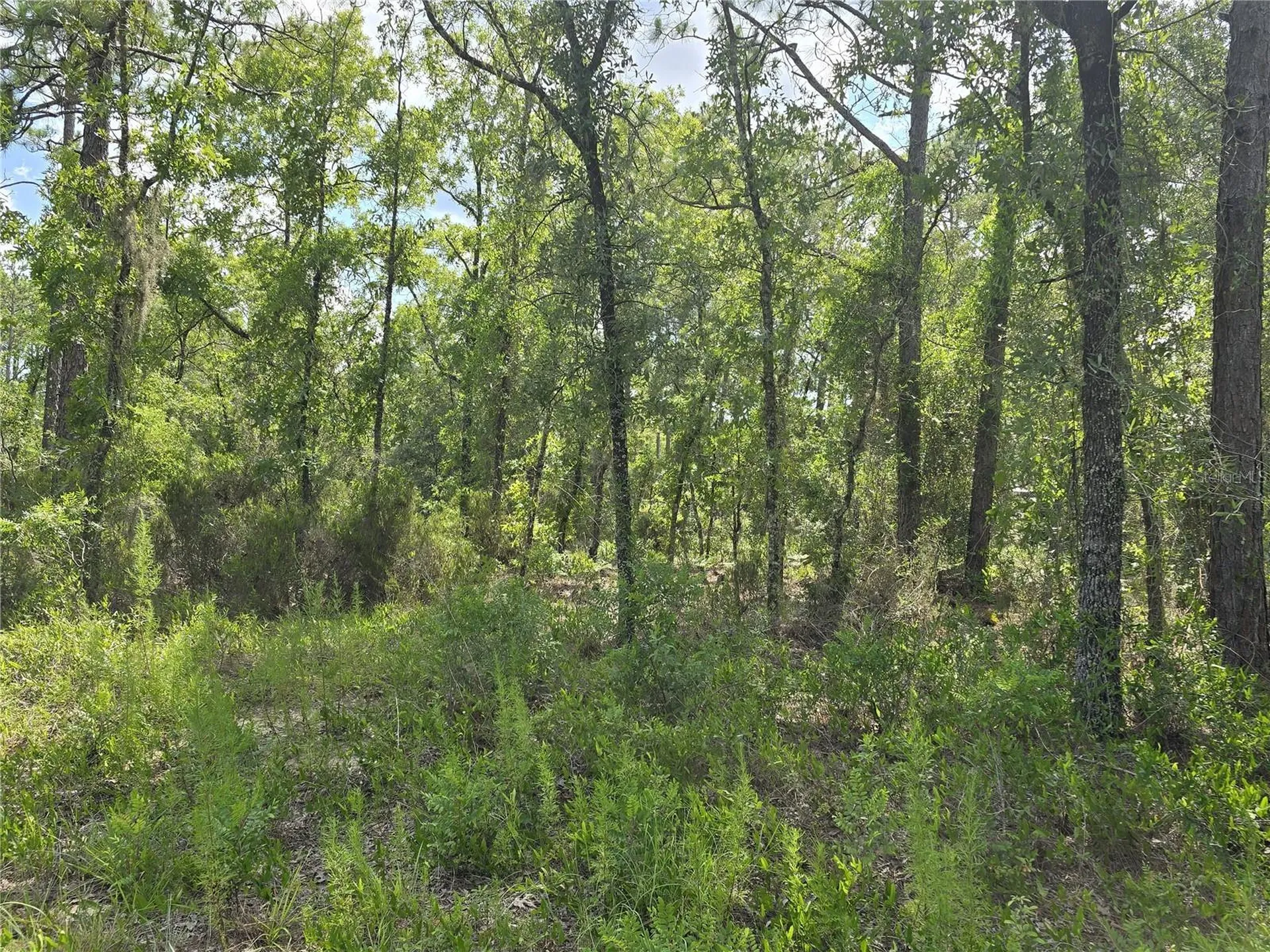 00 NE 121st Avenue Williston FL 32696