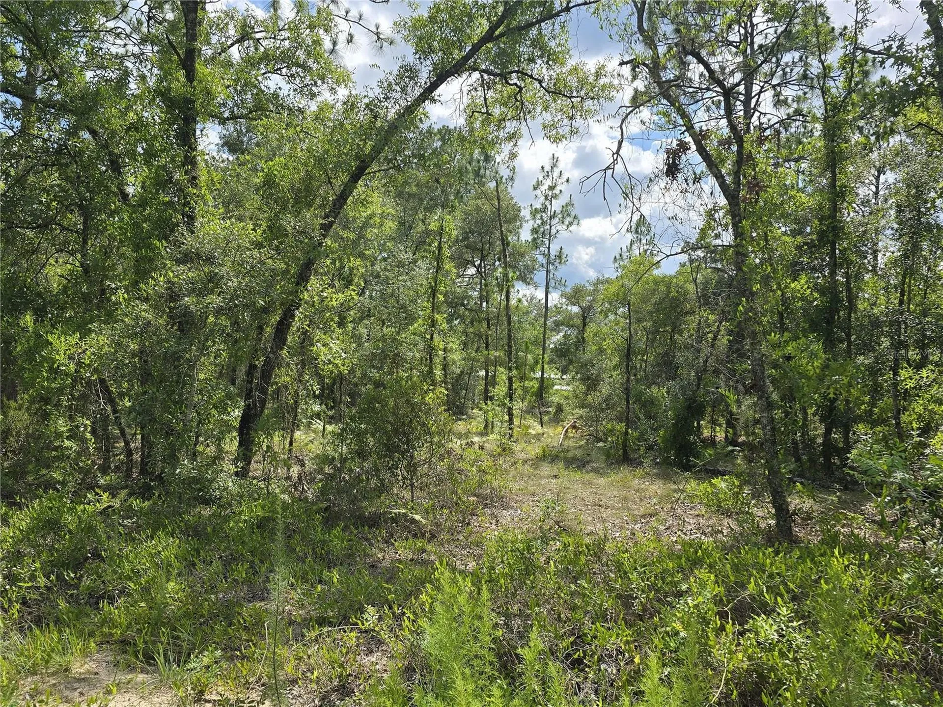 00 NE 121st Avenue Williston FL 32696
