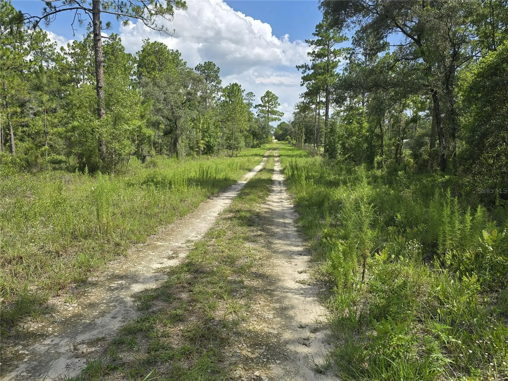 00 NE 121st Avenue Williston FL 32696