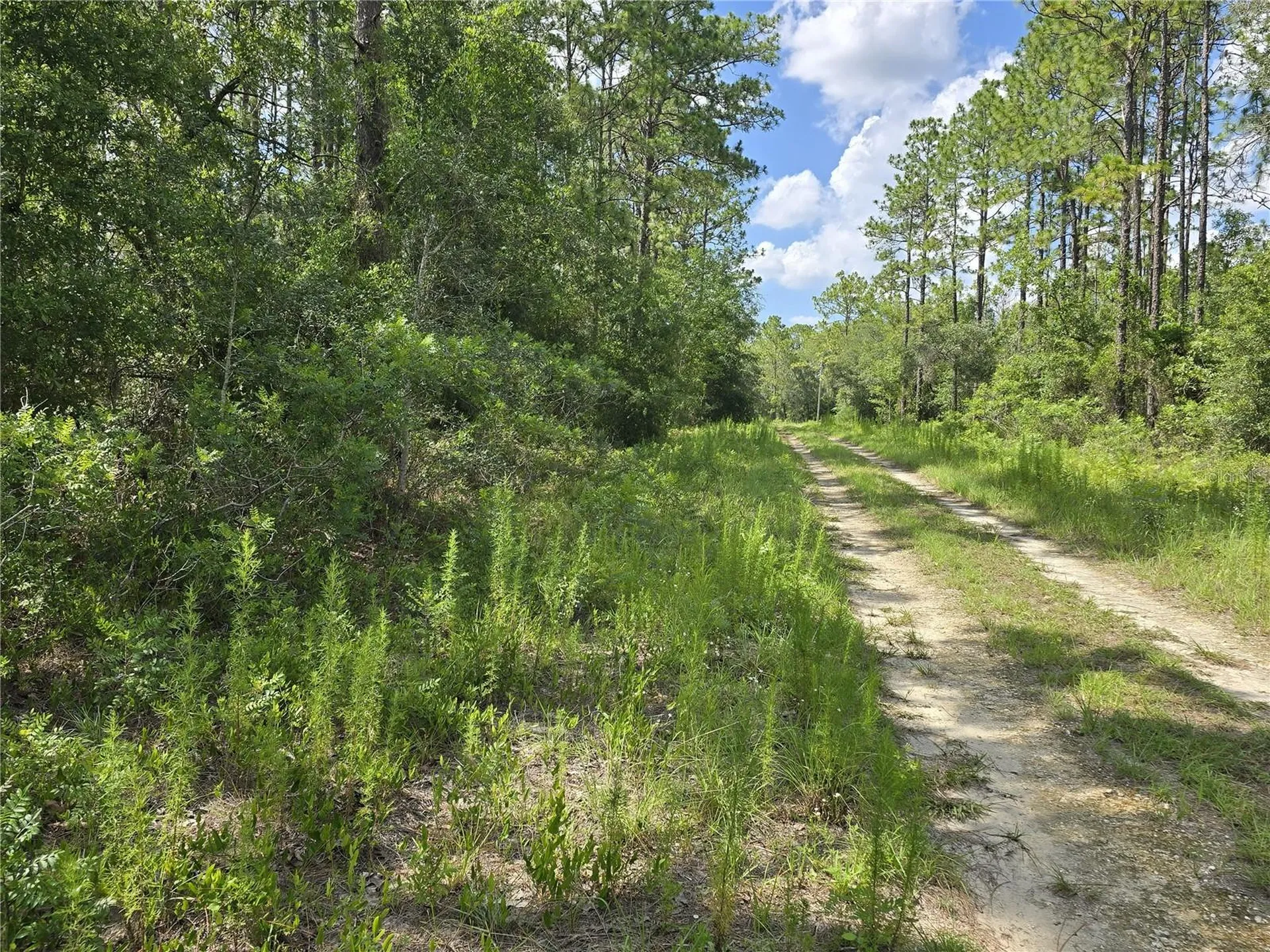 00 NE 121st Avenue Williston FL 32696
