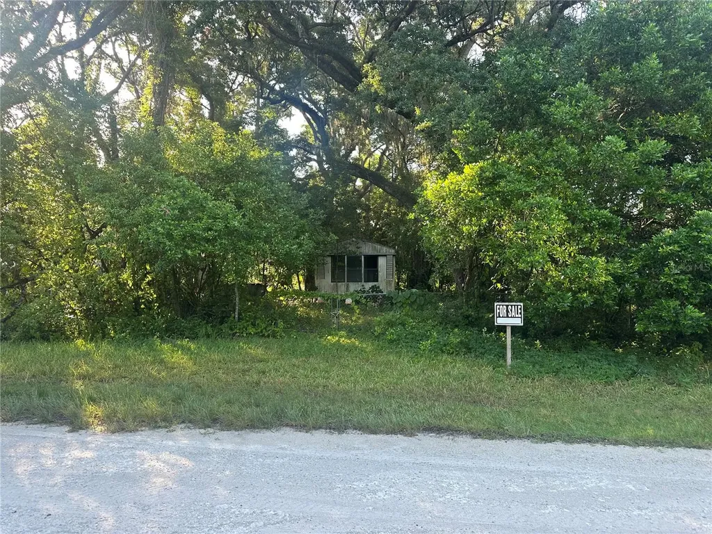 1128 N Jackson Avenue S Spring Hill FL 34604
