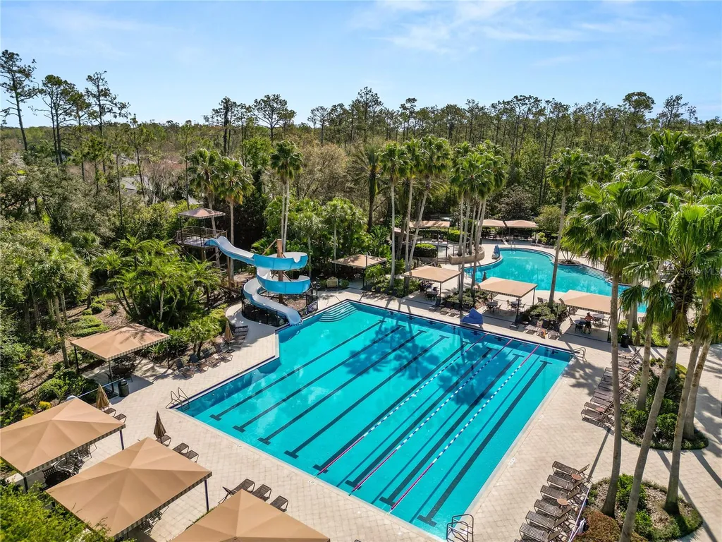4446 Wildstar Circle Wesley Chapel FL 33544