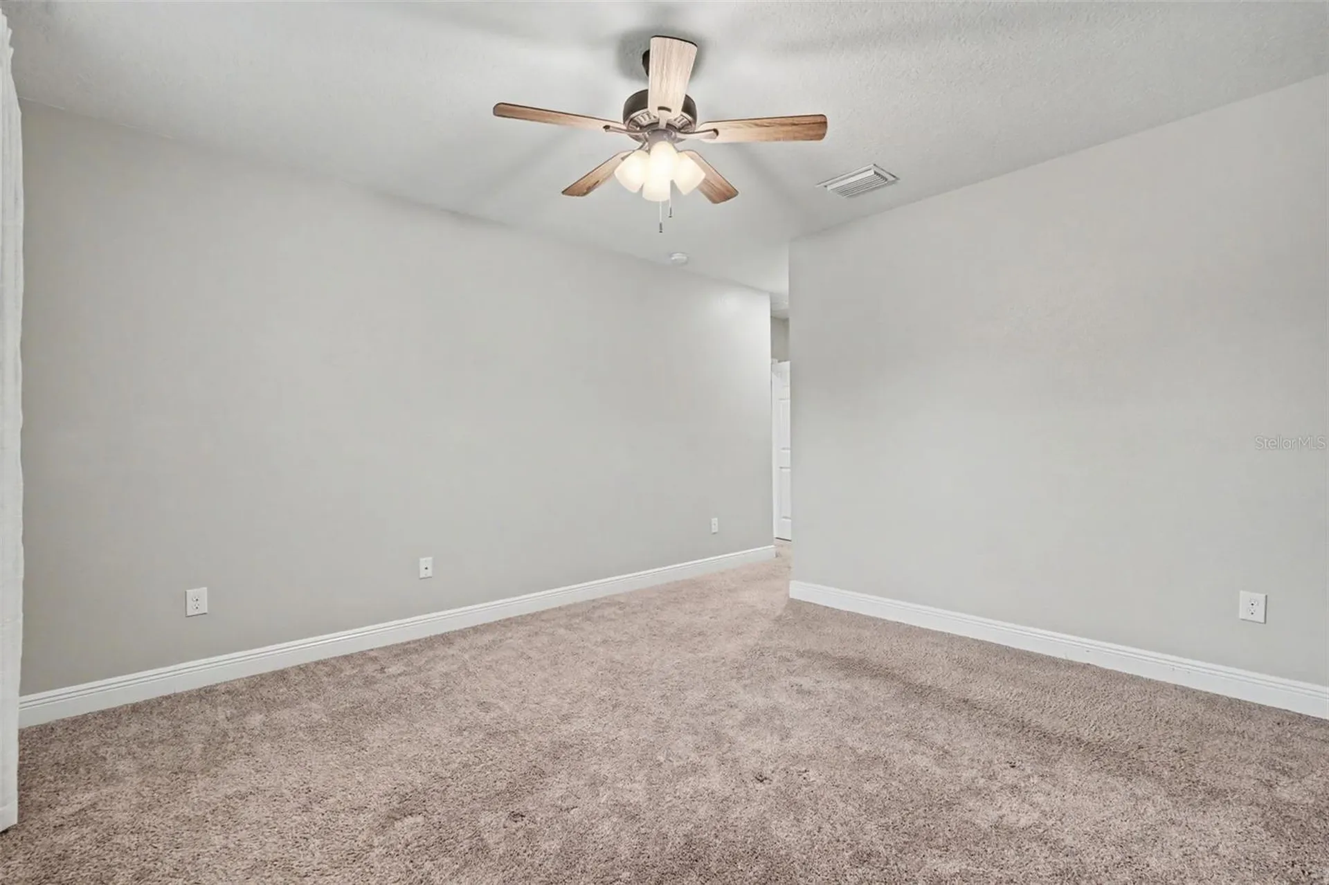 13456 Palmera Vista Drive Riverview FL 33579