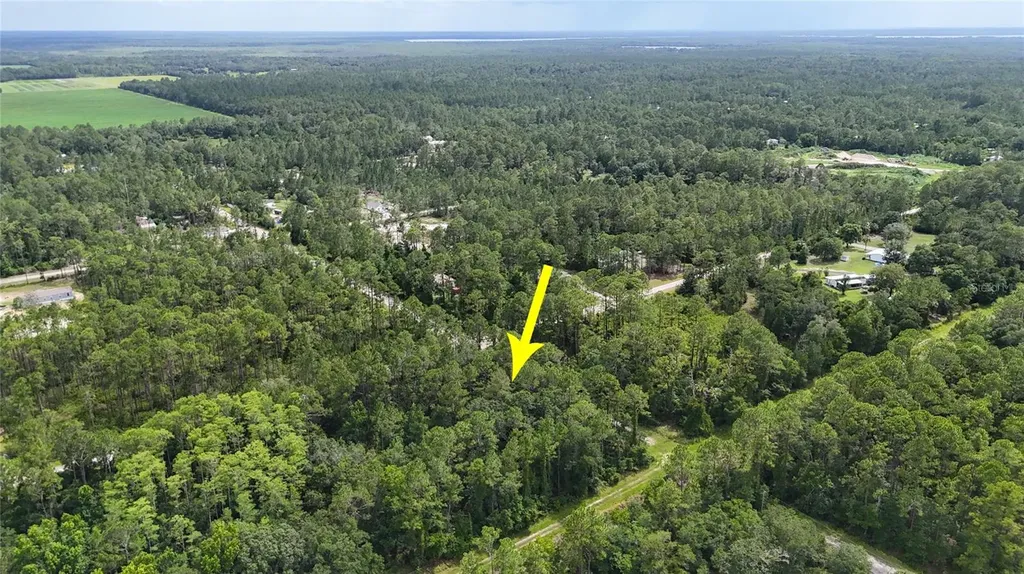 5446 Mango Avenue Bunnell FL 32110