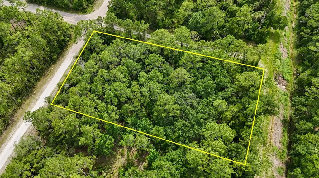 5446 Mango Avenue Bunnell FL 32110