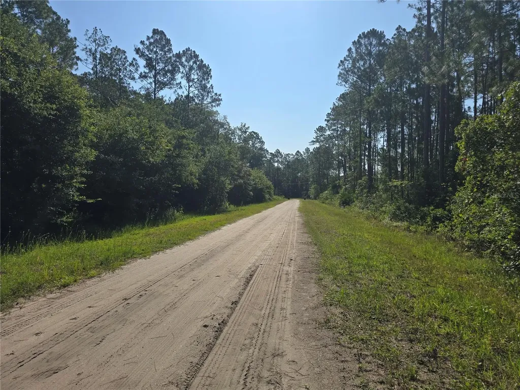 5446 Mango Avenue Bunnell FL 32110
