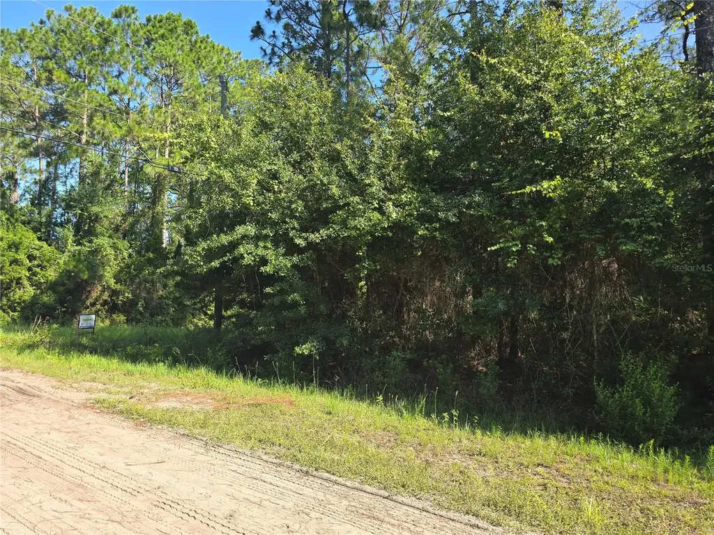 5446 Mango Avenue Bunnell FL 32110