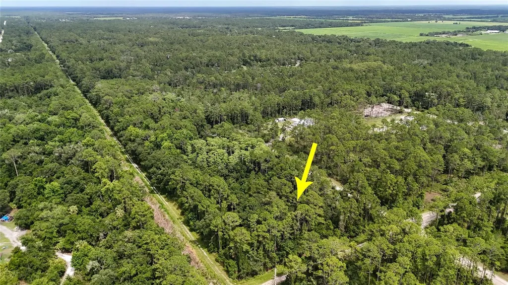 5446 Mango Avenue Bunnell FL 32110