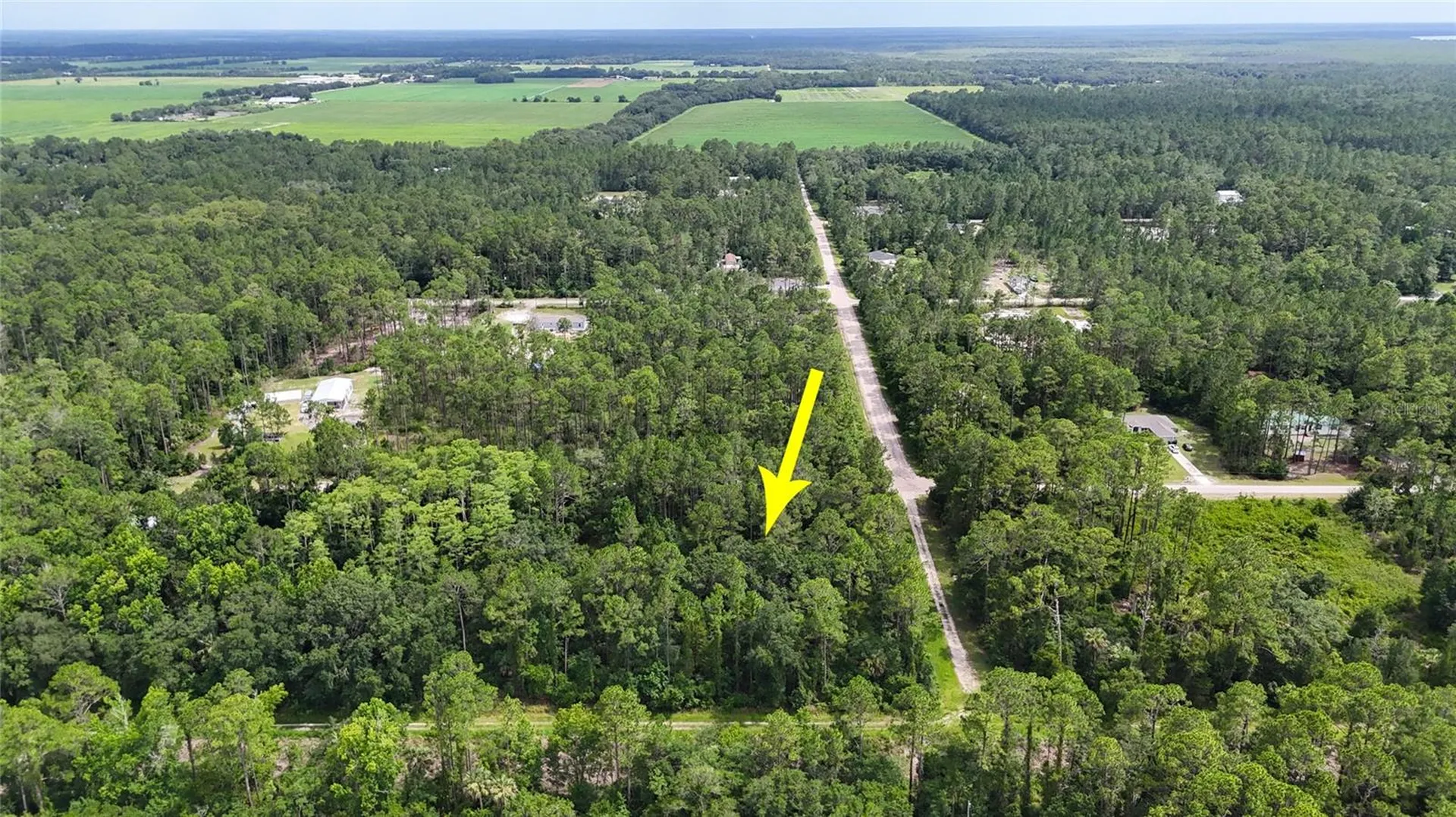 5446 Mango Avenue Bunnell FL 32110