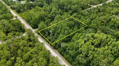 5446 Mango Avenue Bunnell FL 32110