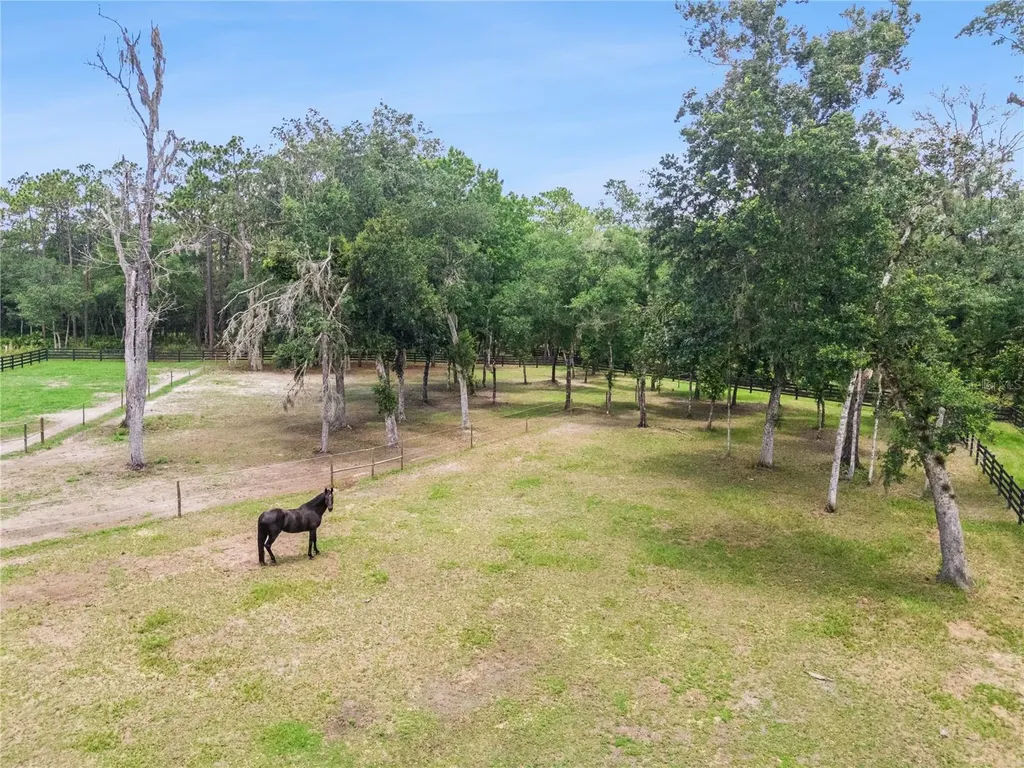 2370 Pine Meadows Place Oviedo FL 32766