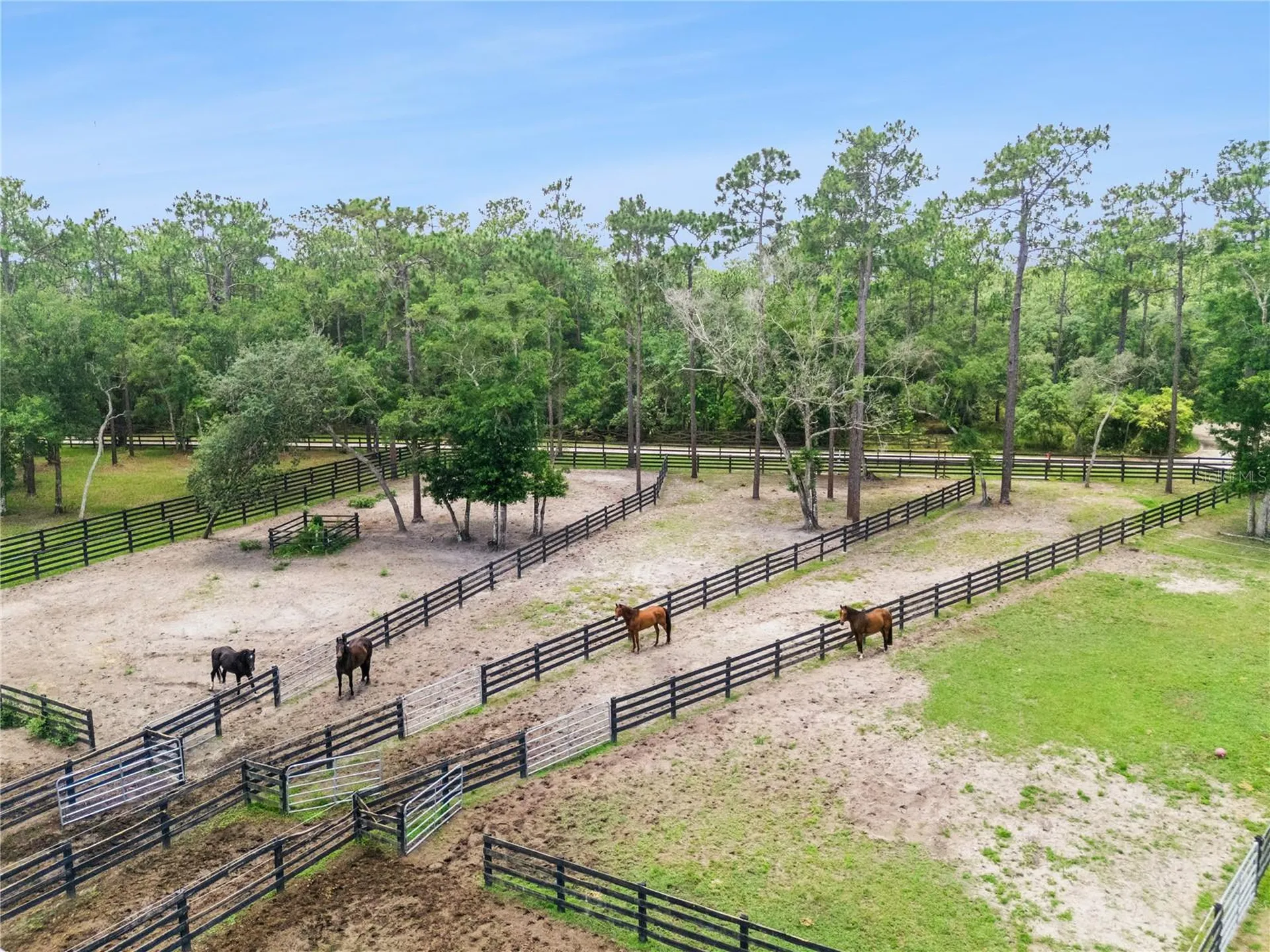 2370 Pine Meadows Place Oviedo FL 32766