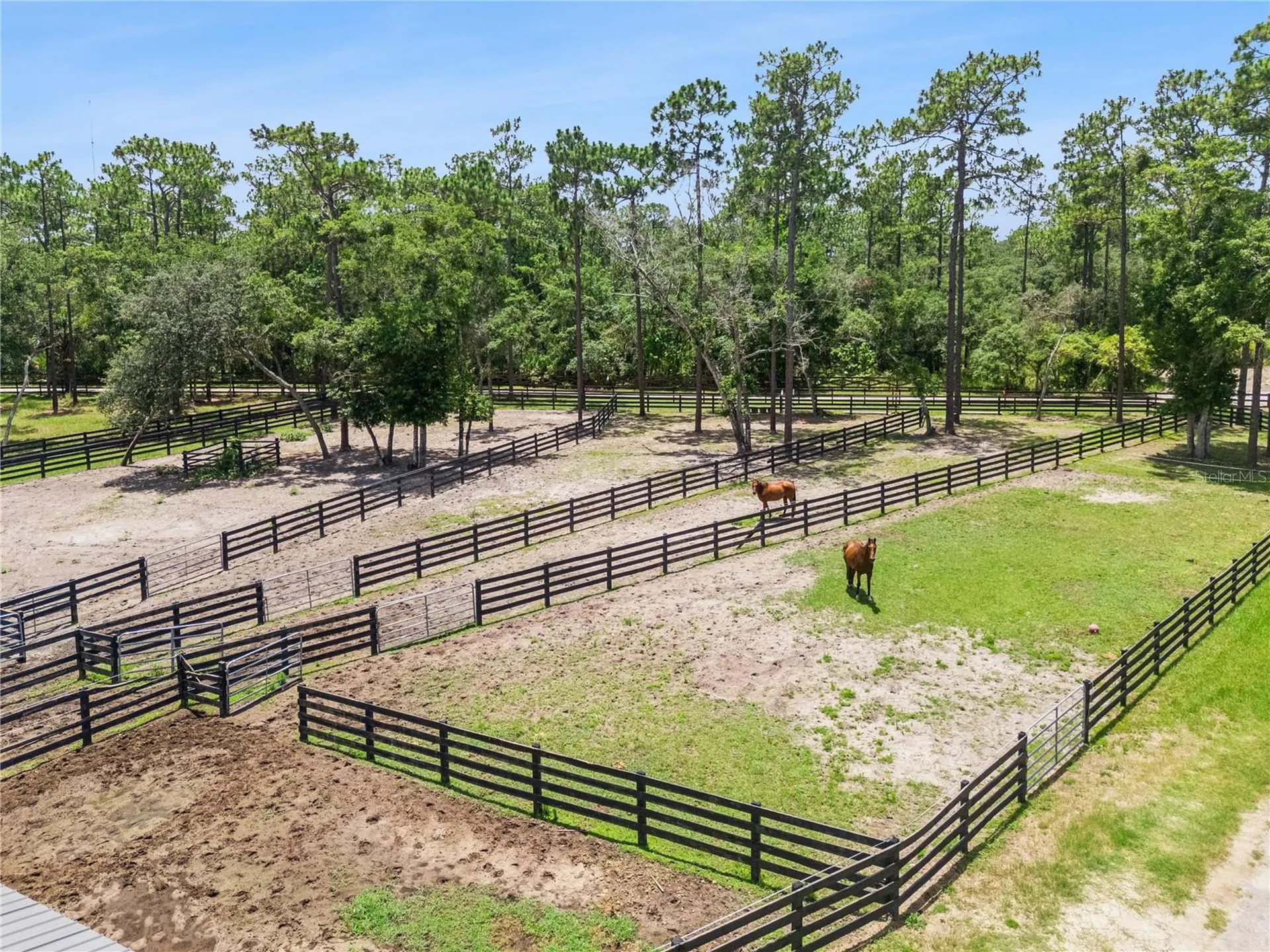 2370 Pine Meadows Place Oviedo FL 32766