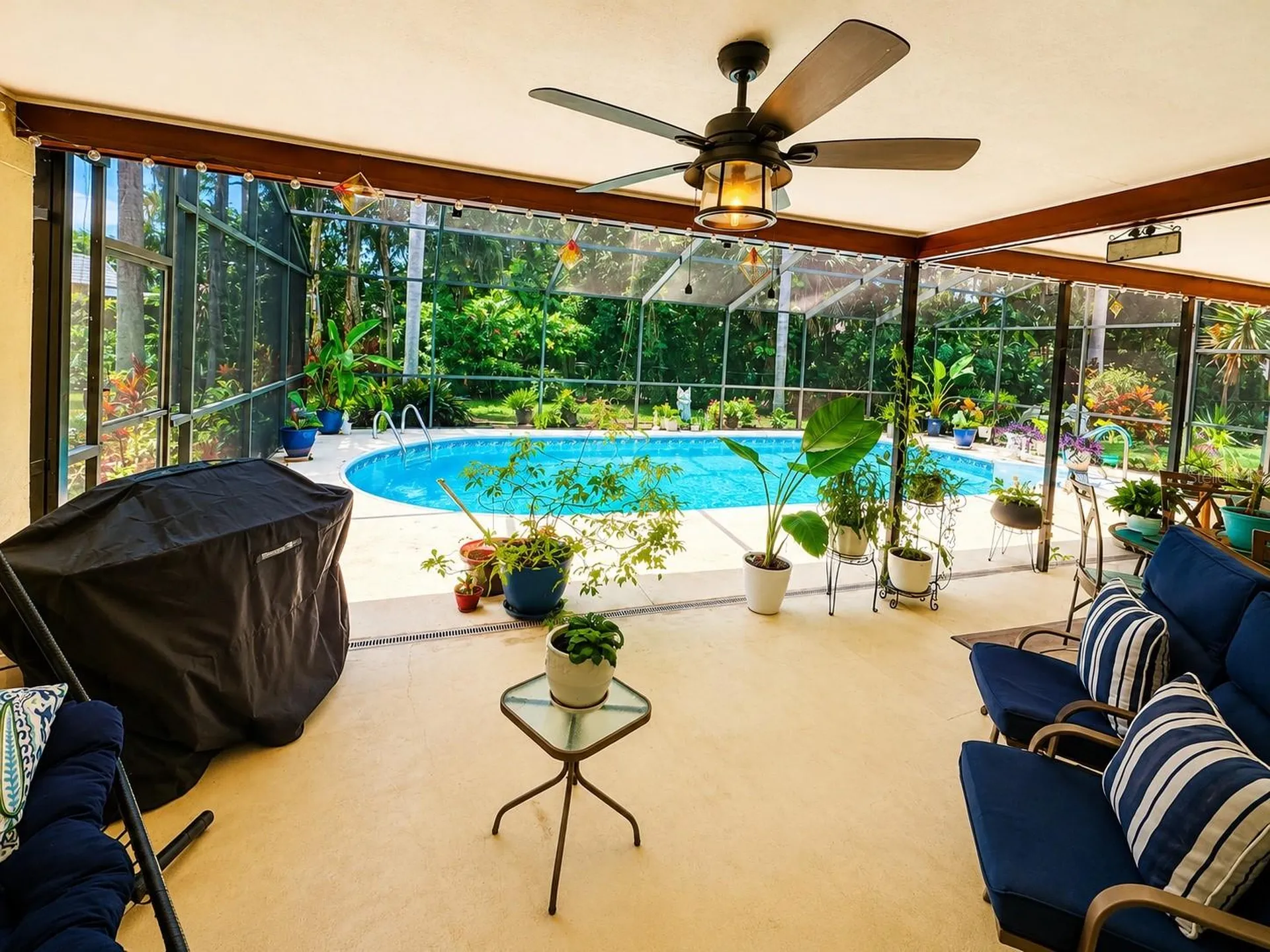 9801 Didrikson Drive New Port Richey FL 34655