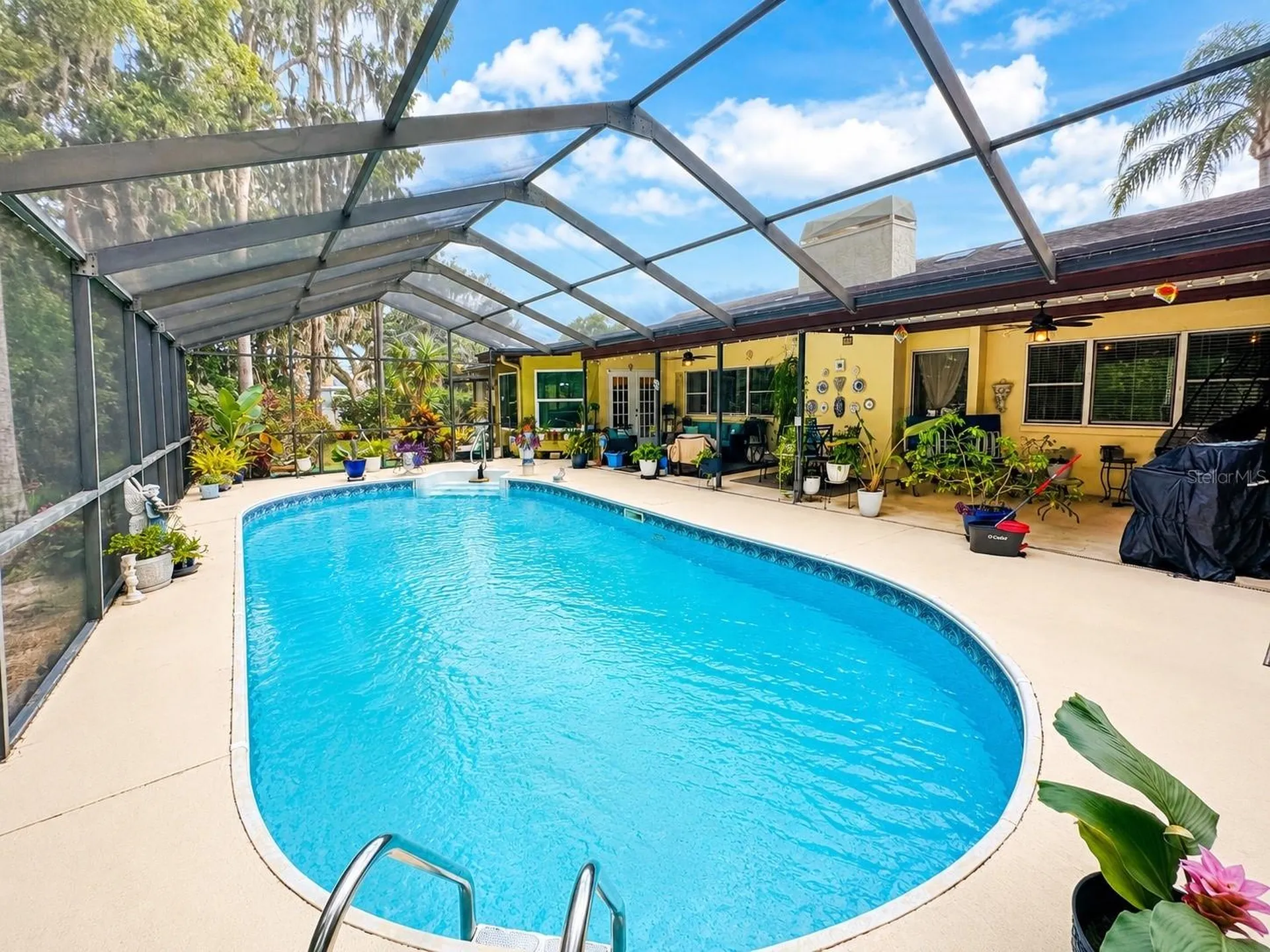 9801 Didrikson Drive New Port Richey FL 34655