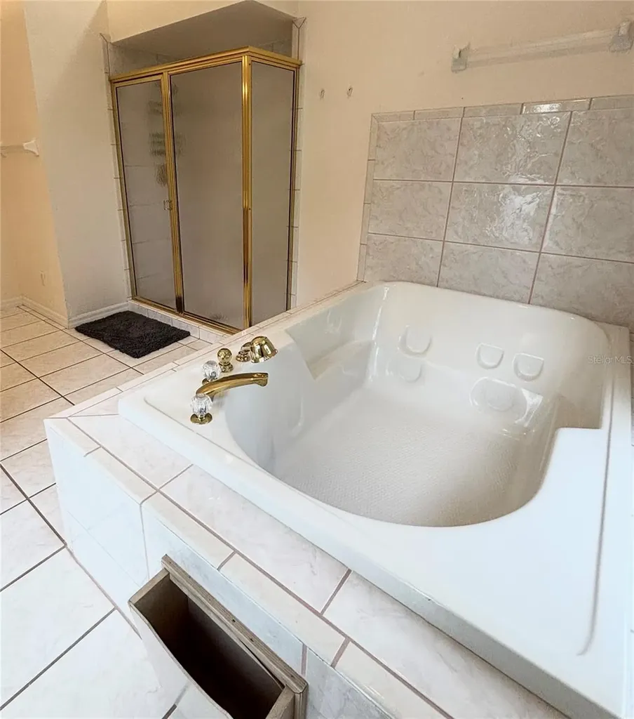 12853 Bellerive Drive Clermont FL 34711