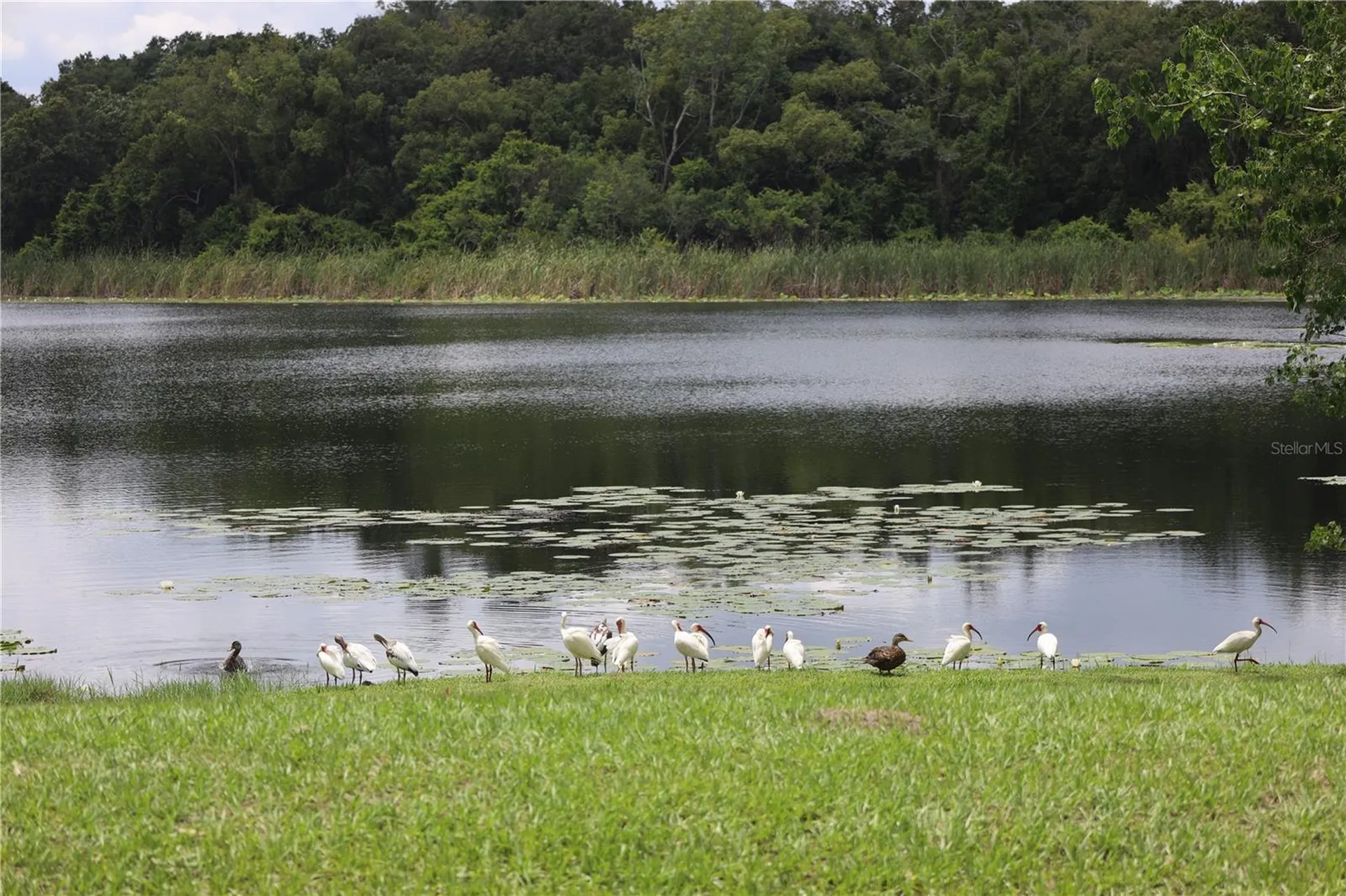 1224 Lake Blue Circle Apopka FL 32703