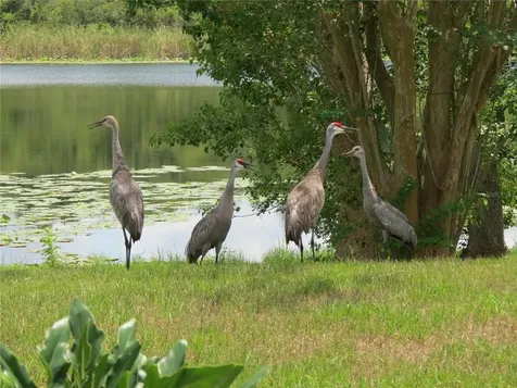 1224 Lake Blue Circle Apopka FL 32703
