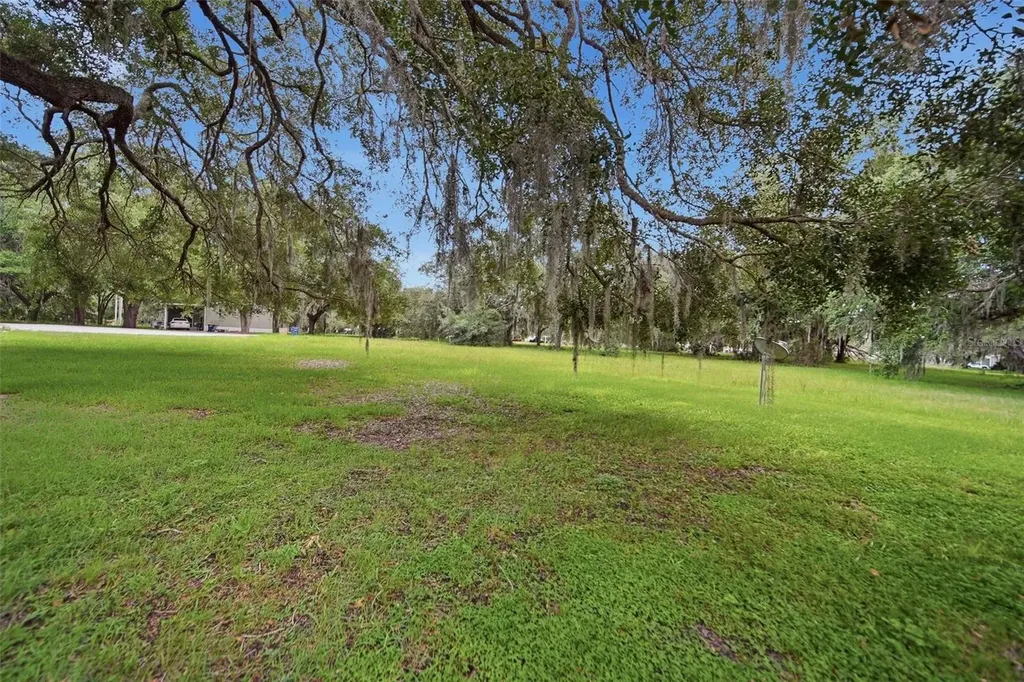 25138 Buttonwood Drive Astatula FL 34705