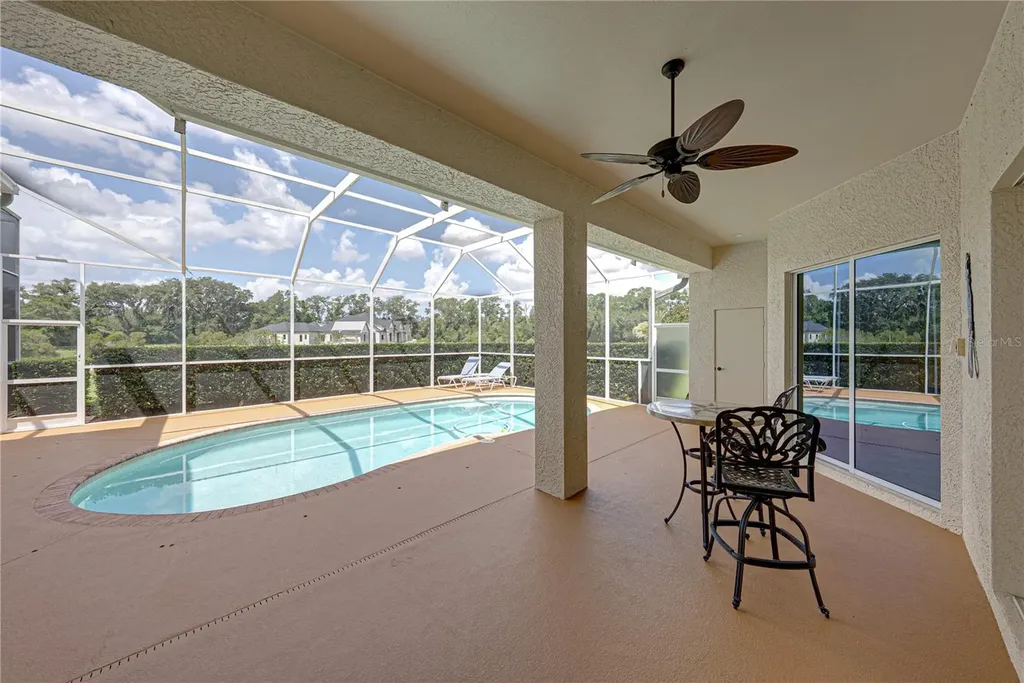 19616 Amazon Basin Bend Lutz FL 33559