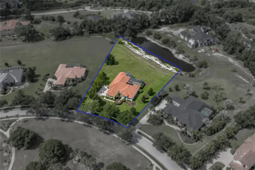19616 Amazon Basin Bend Lutz FL 33559