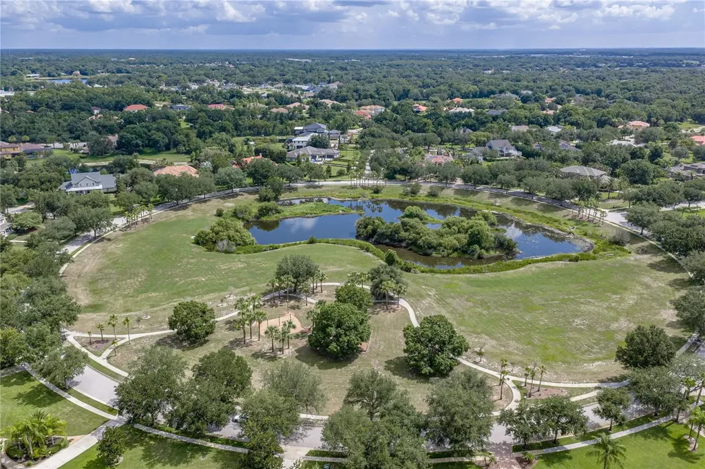 19616 Amazon Basin Bend Lutz FL 33559