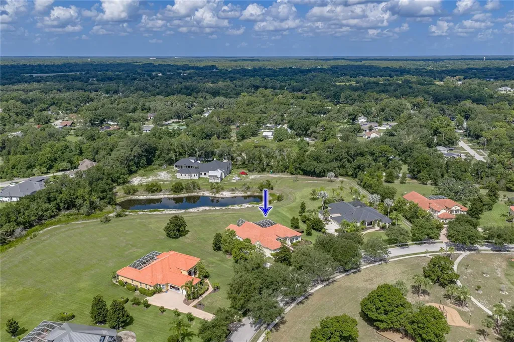 19616 Amazon Basin Bend Lutz FL 33559