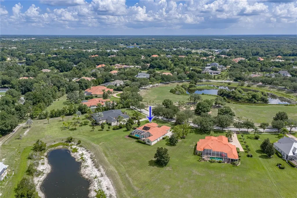 19616 Amazon Basin Bend Lutz FL 33559