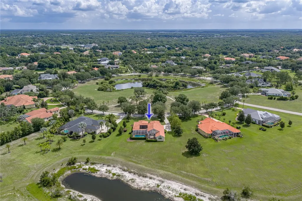 19616 Amazon Basin Bend Lutz FL 33559