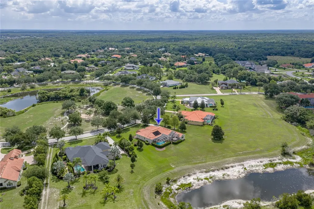 19616 Amazon Basin Bend Lutz FL 33559