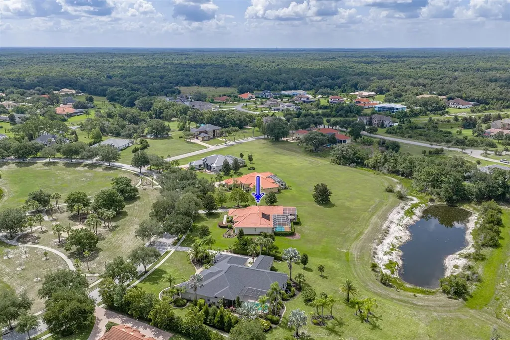 19616 Amazon Basin Bend Lutz FL 33559