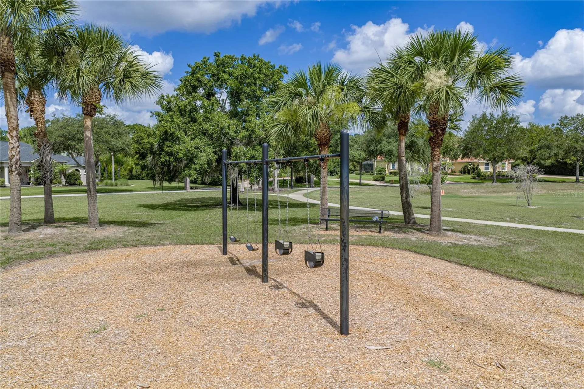 19616 Amazon Basin Bend Lutz FL 33559