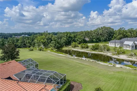19616 Amazon Basin Bend Lutz FL 33559