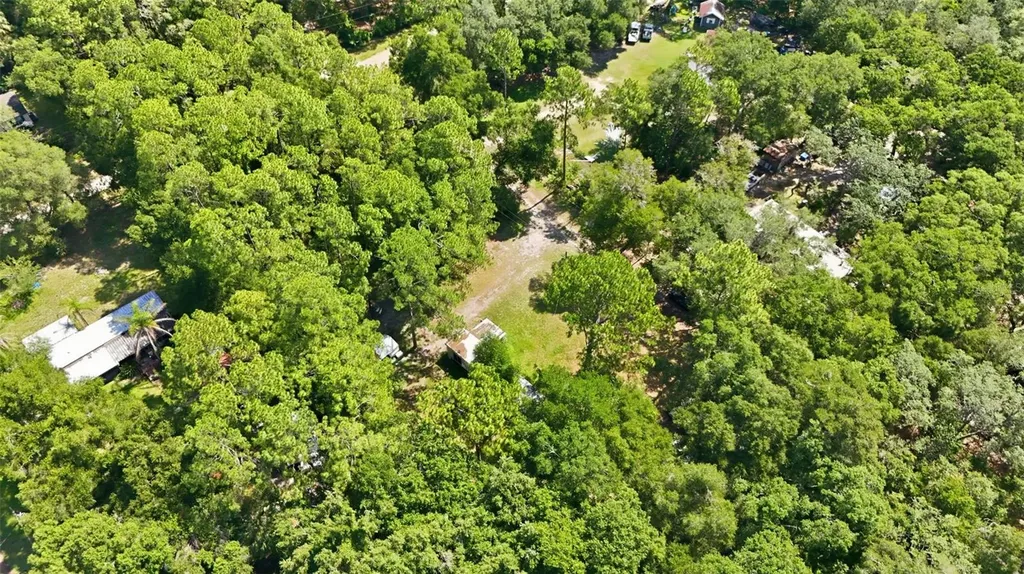 43025 E 3rd Street Paisley FL 32767