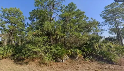 1002 Silverfish Drive Labelle FL 33935