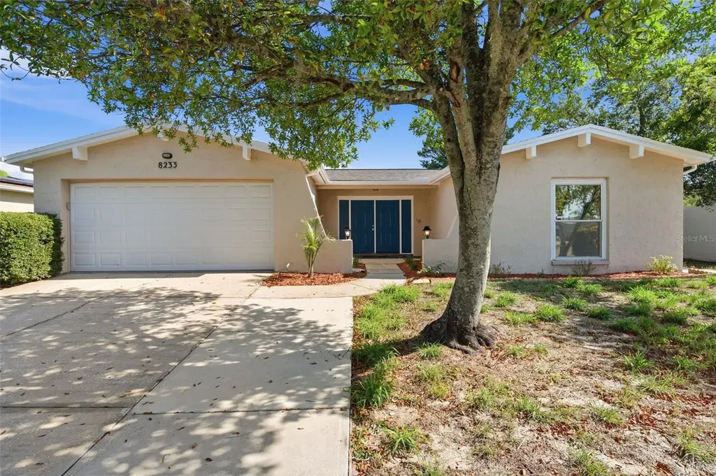 8233 Redfield Drive Port Richey FL 34668