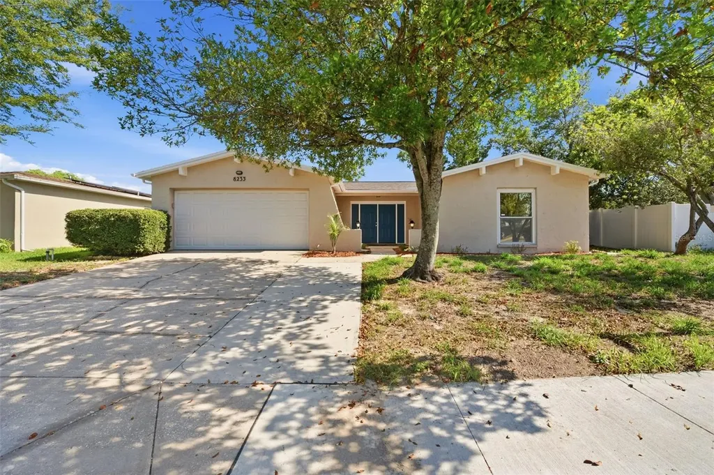 8233 Redfield Drive Port Richey FL 34668