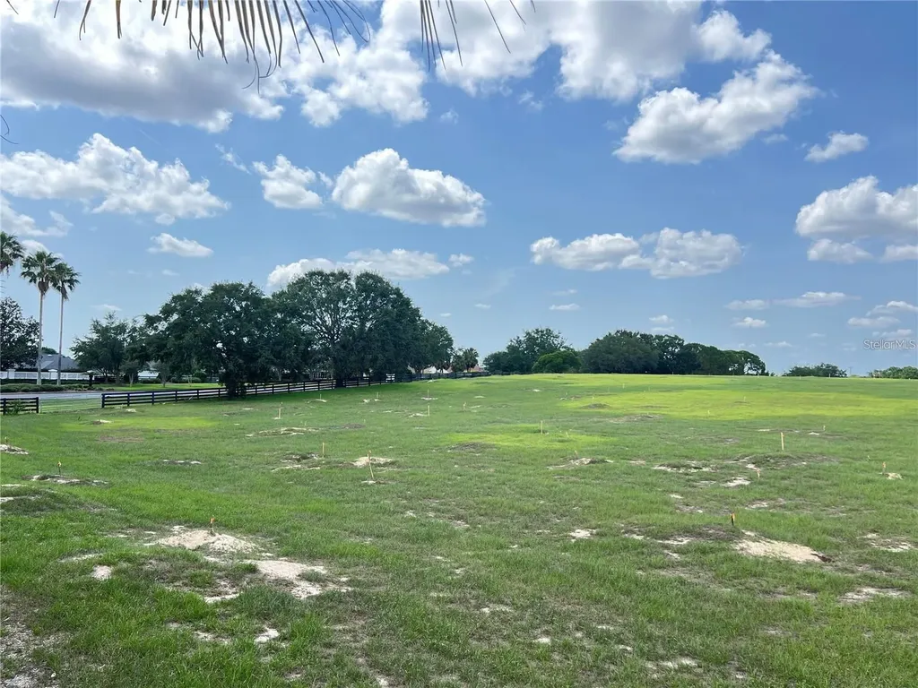 2913 Panchos Way The Villages FL 32162